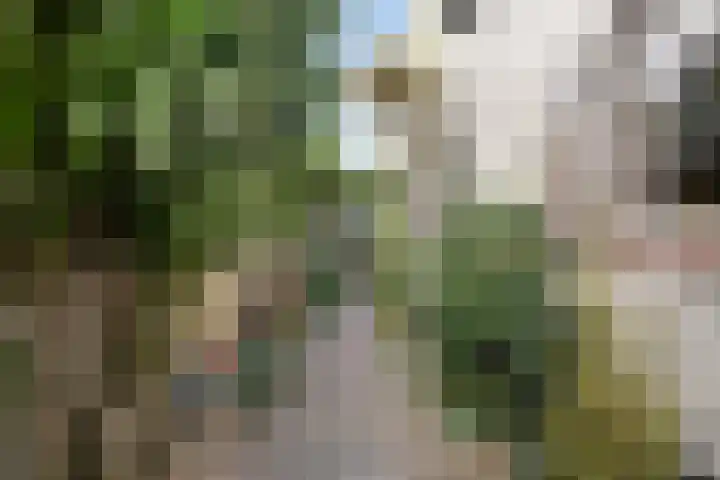 Doelen 12 Breda thumbnail 29