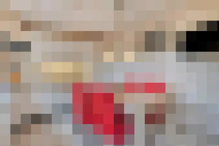 Doelen 12 Breda thumbnail 4