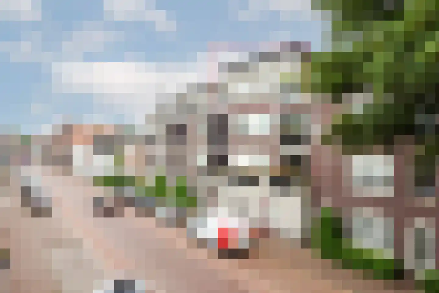 Doelenstraat 25 17 in Hilvarenbeek
