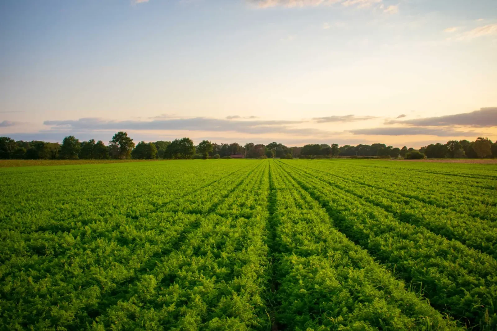 Team foto van Doelgraaf B.V.
