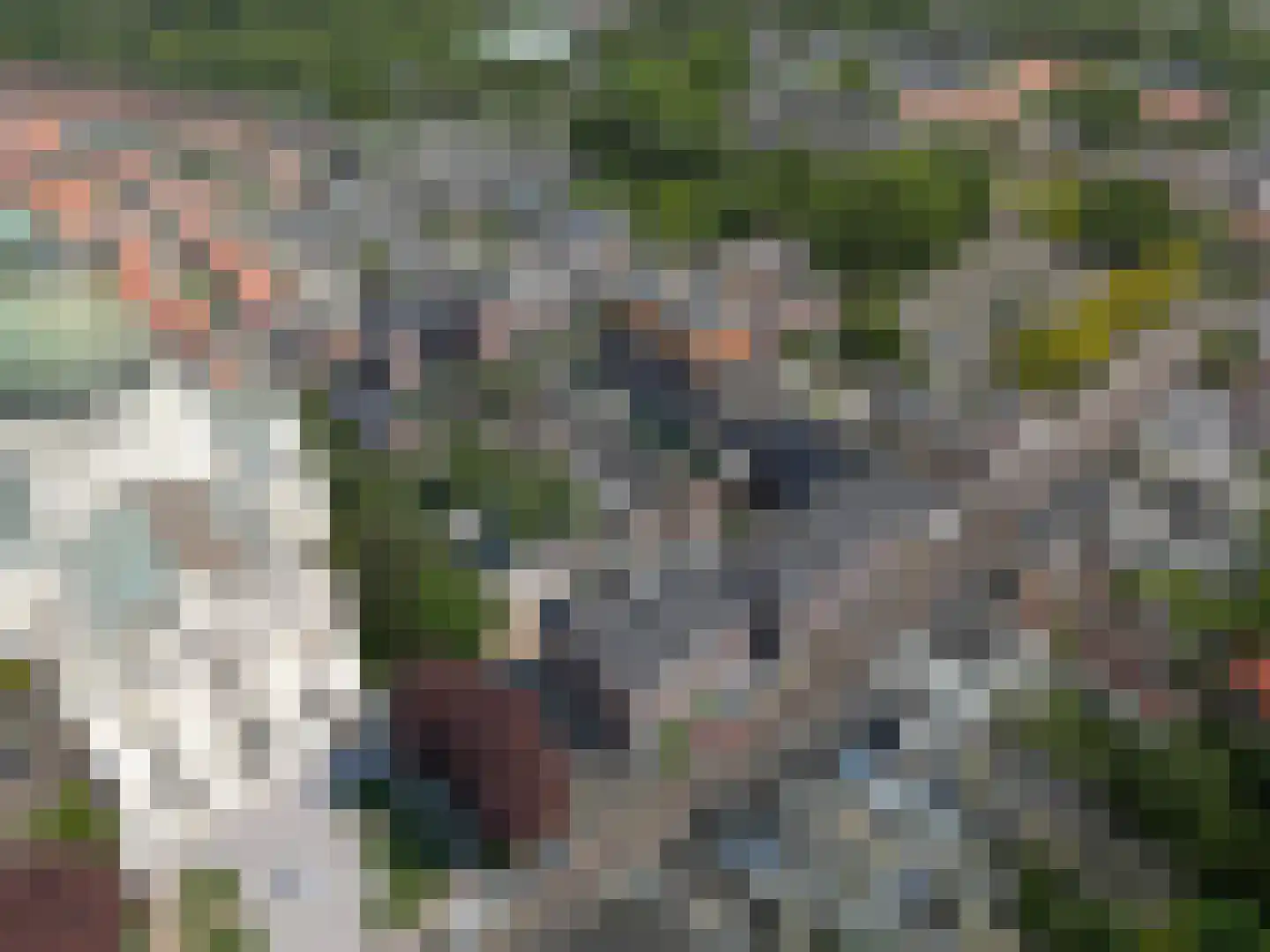 Doelpad 6 Oudenbosch thumbnail 5