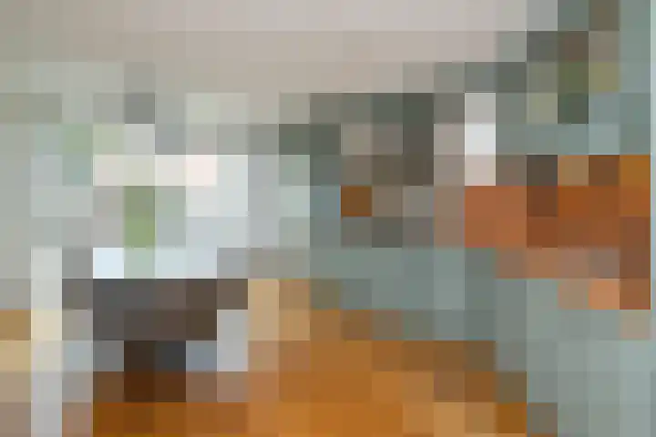 Doelwijck 6 Rhoon thumbnail 14