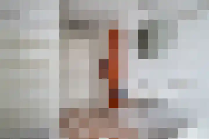 Doelwijck 6 Rhoon thumbnail 23