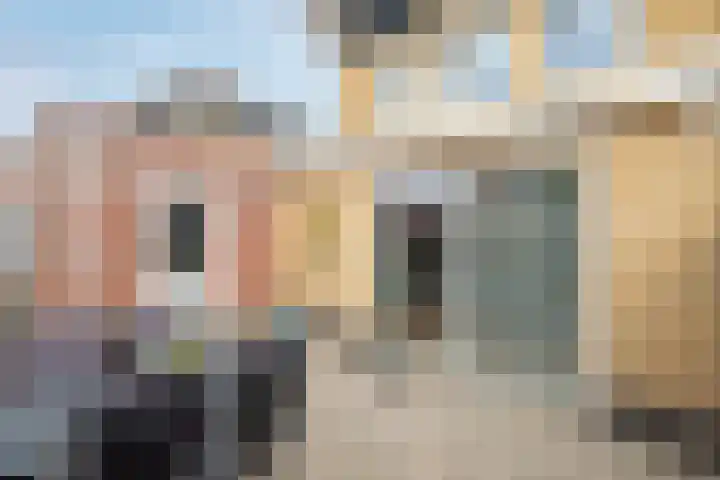 Doelwijck 6 Rhoon thumbnail 32