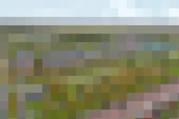 Doerianstraat 6 Almere thumbnail 6