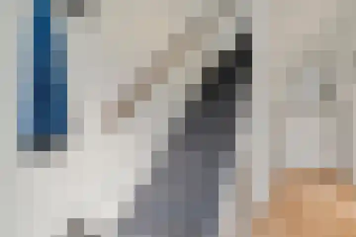Does 3 Zwolle thumbnail 10
