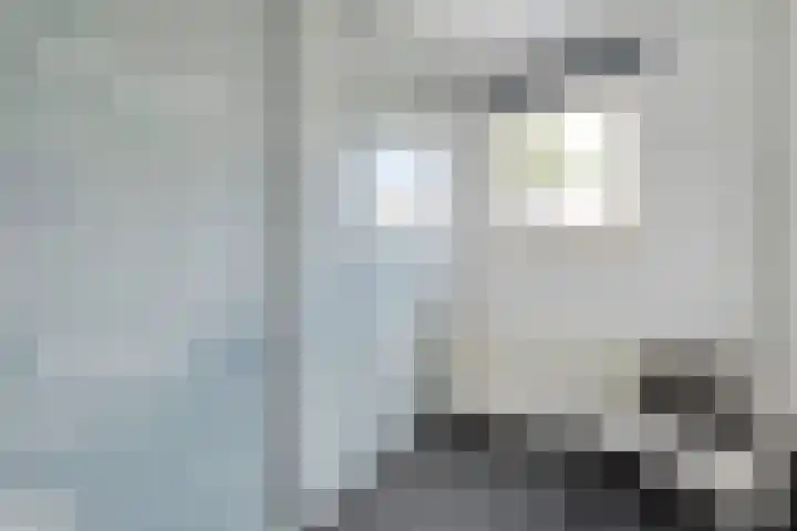 Does 3 Zwolle thumbnail 15