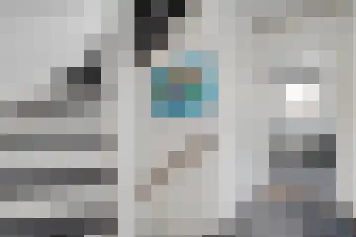 Does 3 Zwolle thumbnail 19