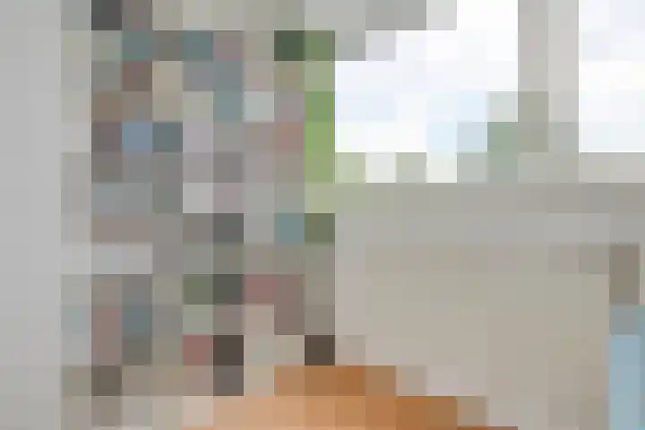 Does 3 Zwolle thumbnail 22