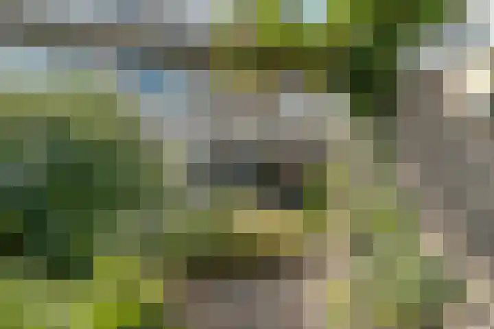 Does 3 Zwolle thumbnail 25