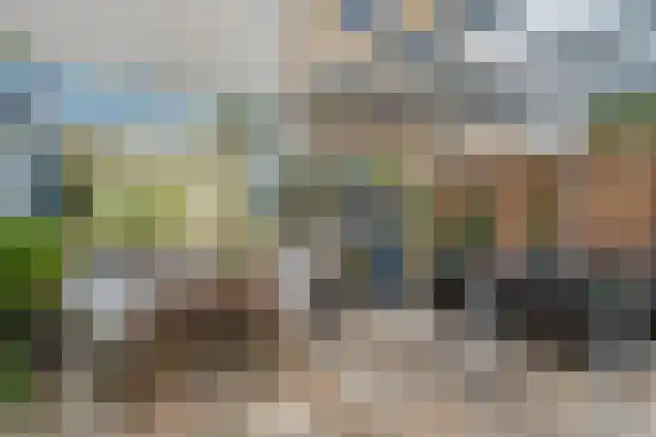 Does 3 Zwolle thumbnail 27