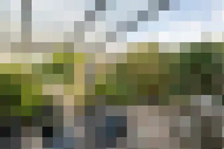 Does 3 Zwolle thumbnail 28
