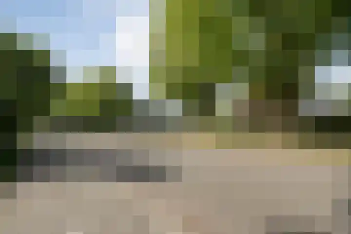 Does 3 Zwolle thumbnail 30