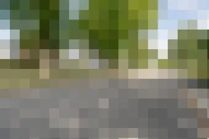 Does 3 Zwolle thumbnail 31