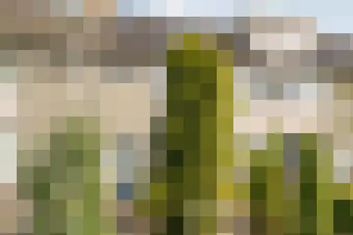 Does 3 Zwolle thumbnail 32
