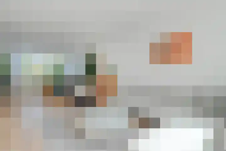Does 3 Zwolle thumbnail 4