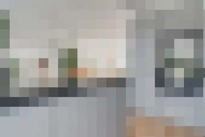 Does 3 Zwolle thumbnail 7