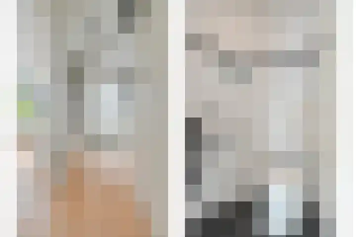 Does 3 Zwolle thumbnail 9