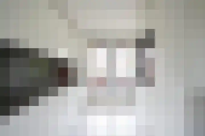 Does 43 De Meern thumbnail 10