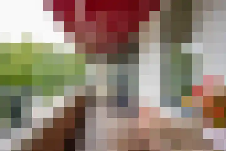 Does 43 De Meern thumbnail 12