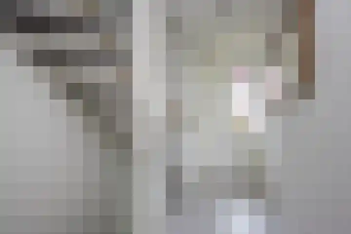 Does 43 De Meern thumbnail 14