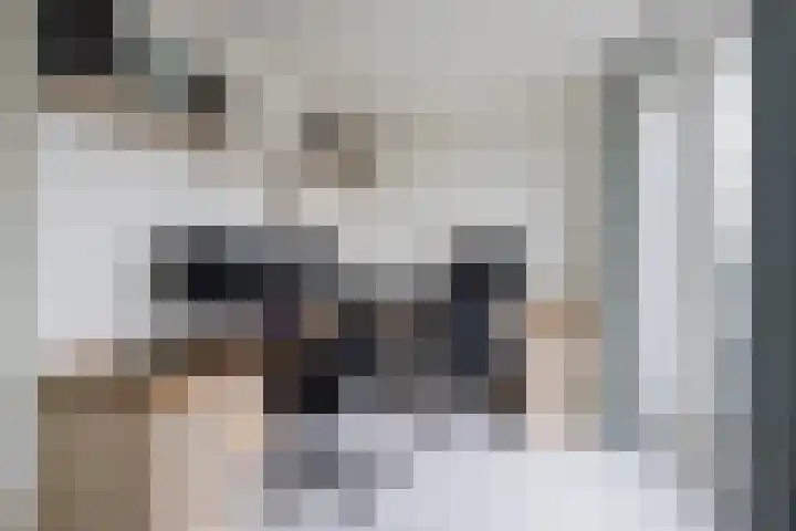 Does 43 De Meern thumbnail 21