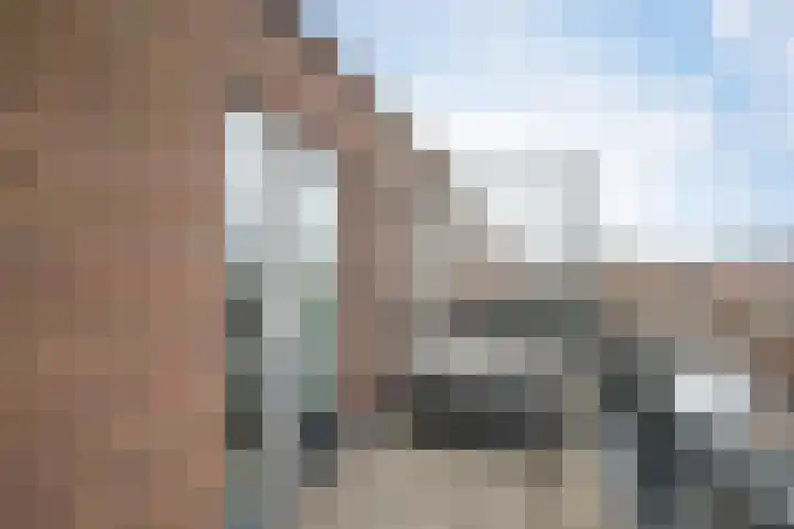 Does 43 De Meern thumbnail 22