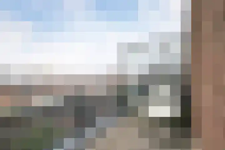 Does 43 De Meern thumbnail 23