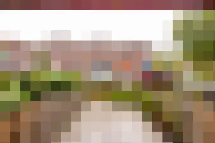 Does 43 De Meern thumbnail 27