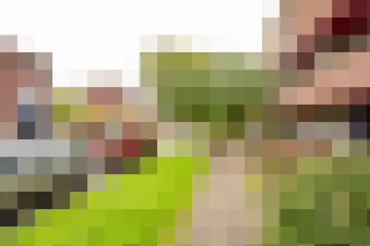 Does 43 De Meern thumbnail 28