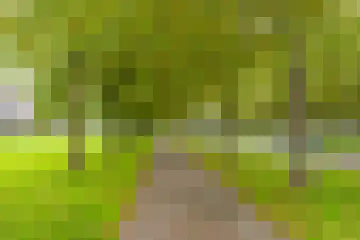 Does 43 De Meern thumbnail 30