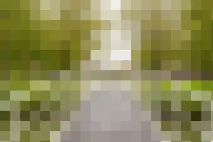 Does 43 De Meern thumbnail 31
