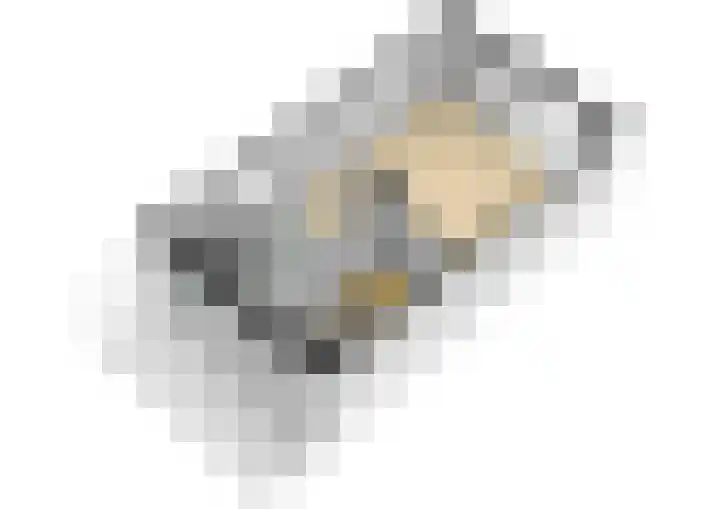 Does 43 De Meern thumbnail 36