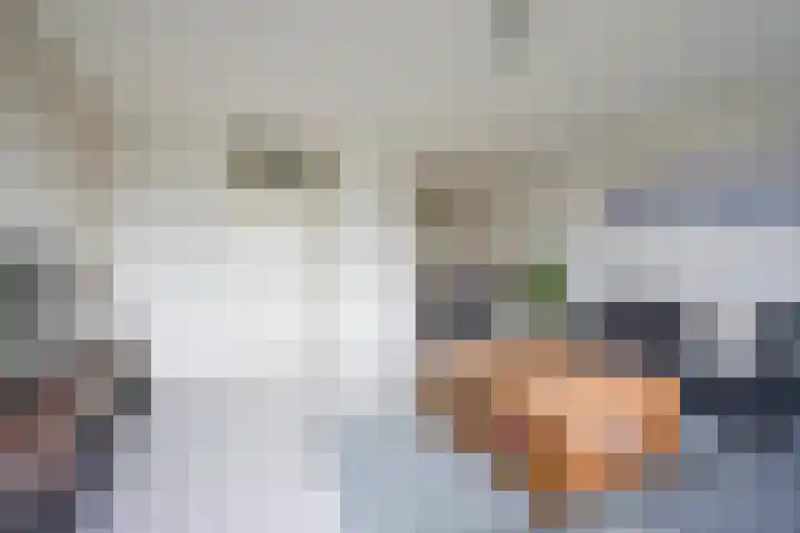 Does 43 De Meern thumbnail 4