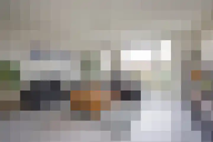 Does 43 De Meern thumbnail 5