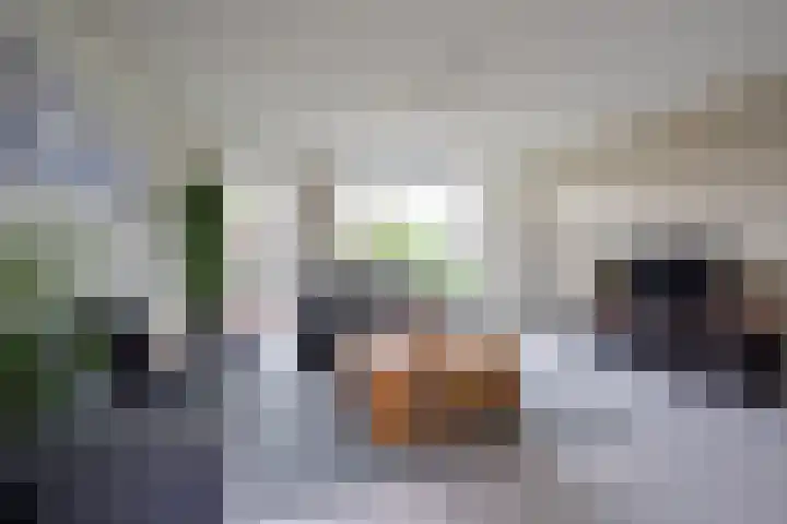 Does 43 De Meern thumbnail 6