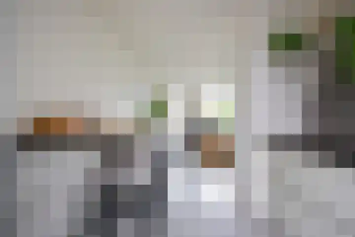 Does 43 De Meern thumbnail 8
