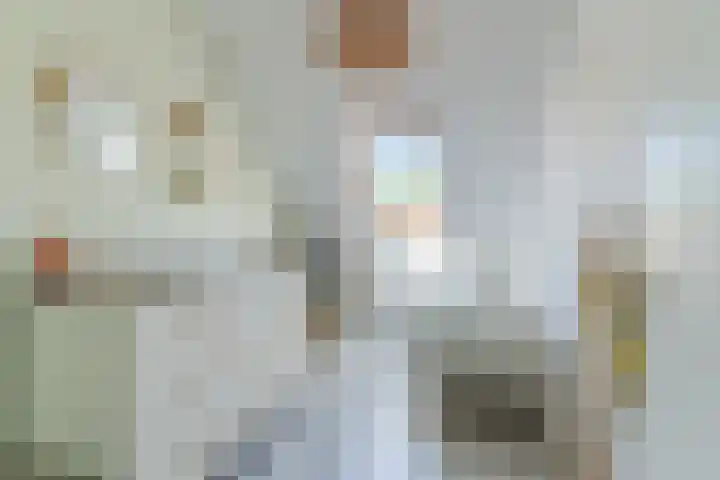 Doesburgstraat 63 Tilburg thumbnail 16