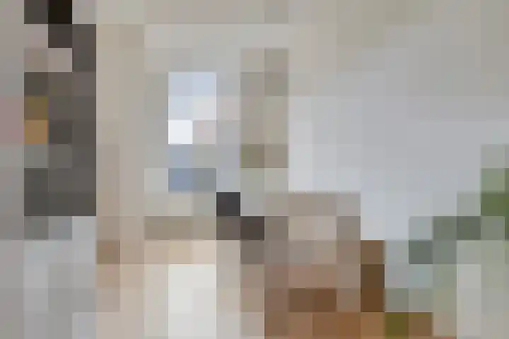 Doeslaan 6 Leiderdorp thumbnail 8