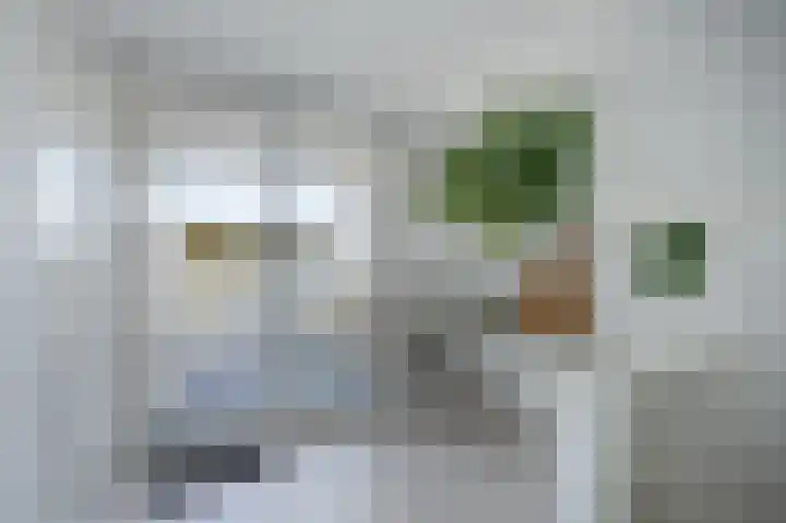Doevenkamp 22 Assen thumbnail 35