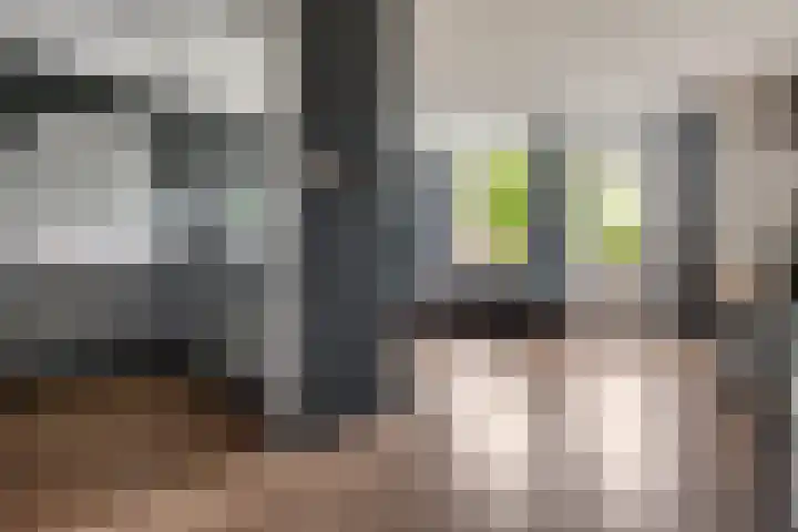 Doevenkamp 73 Assen thumbnail 16