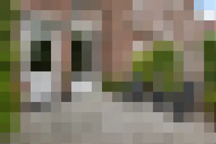 Doevenkamp 73 Assen thumbnail 22