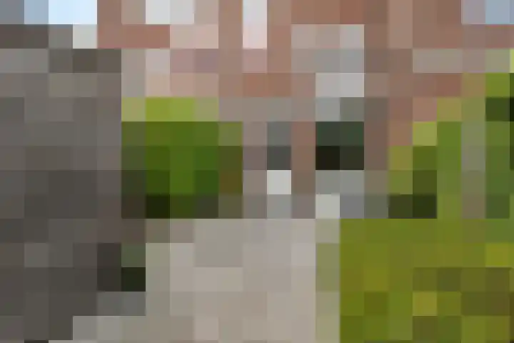Doevenkamp 73 Assen thumbnail 23