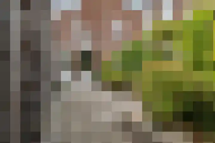 Doevenkamp 73 Assen thumbnail 25