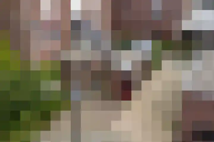 Doevenkamp 73 Assen thumbnail 29