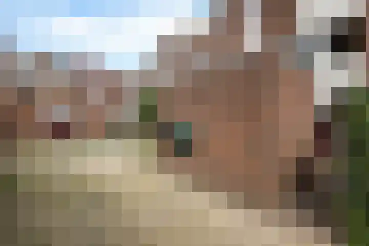 Doevenkamp 73 Assen thumbnail 32