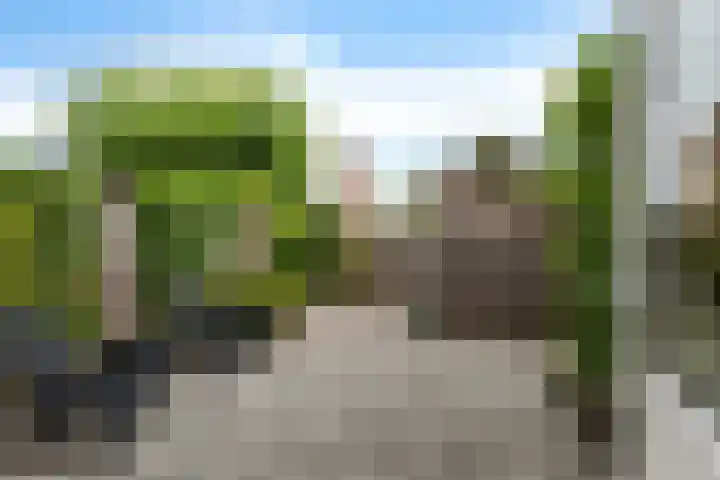 Doevenkamp 73 Assen thumbnail 4