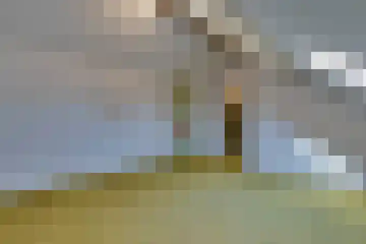Dohmenstraat 13 Geleen thumbnail 14