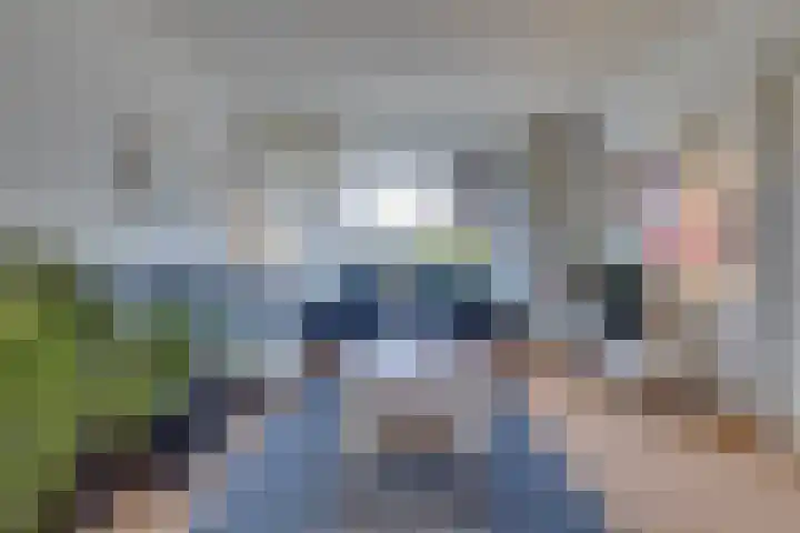 Dohmenstraat 13 Geleen thumbnail 5