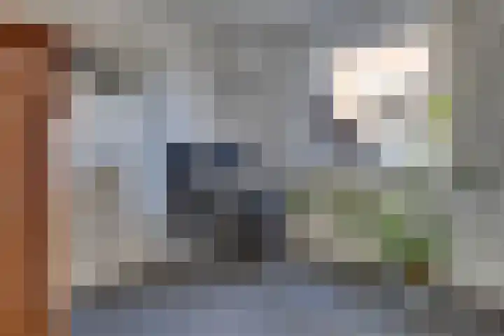 Dohmenstraat 13 Geleen thumbnail 9
